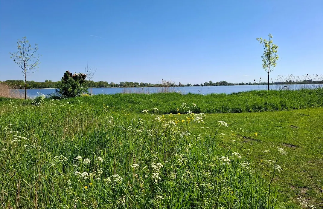 Sweetlake-1